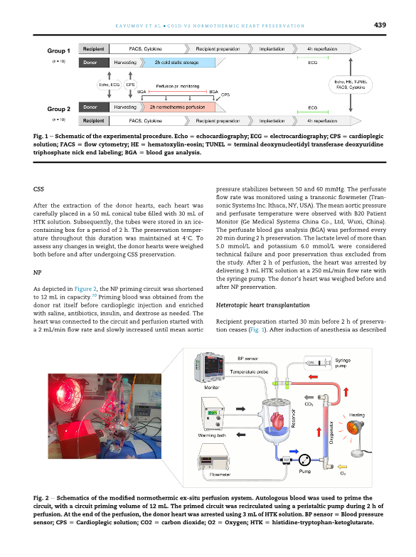 1-s2.0-S0022480424008473-main_3